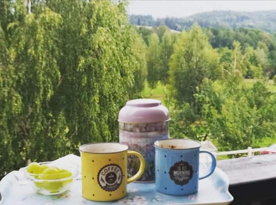 Pensiunea Gradina Ascunsa Bughea de Jos Buitenkant foto