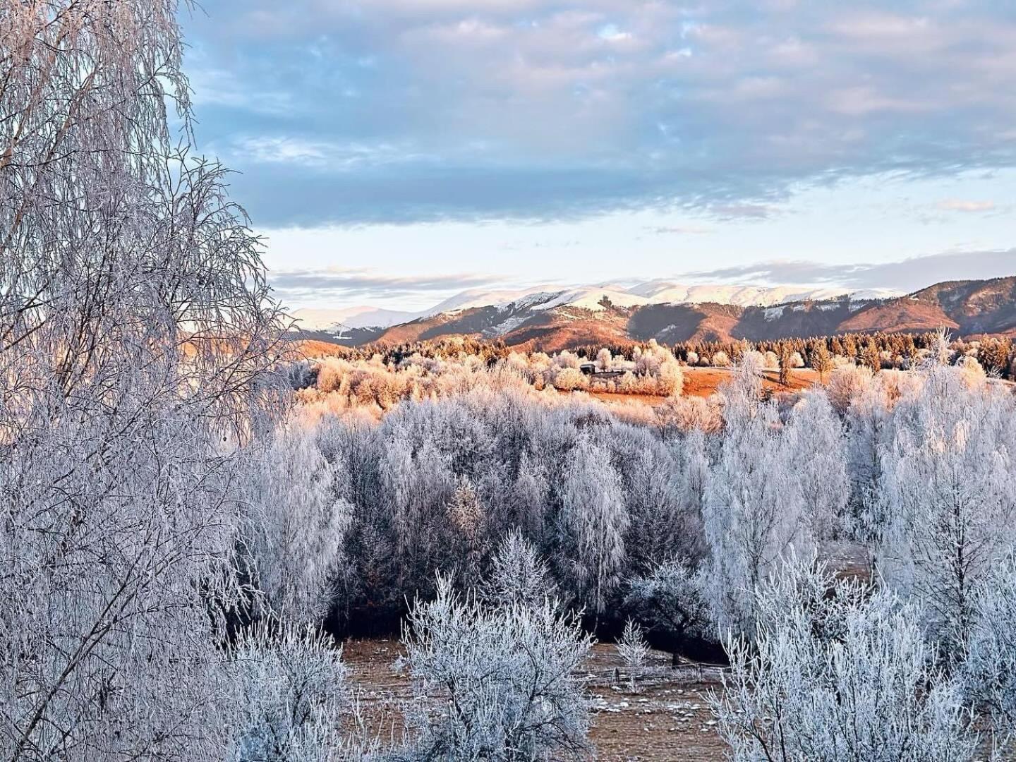 Pensiunea Gradina Ascunsa Bughea de Jos Buitenkant foto