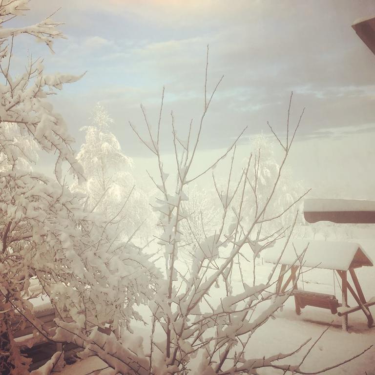 Pensiunea Gradina Ascunsa Bughea de Jos Buitenkant foto