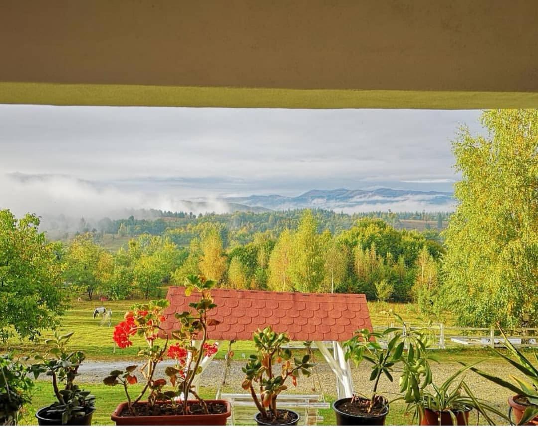 Pensiunea Gradina Ascunsa Bughea de Jos Buitenkant foto